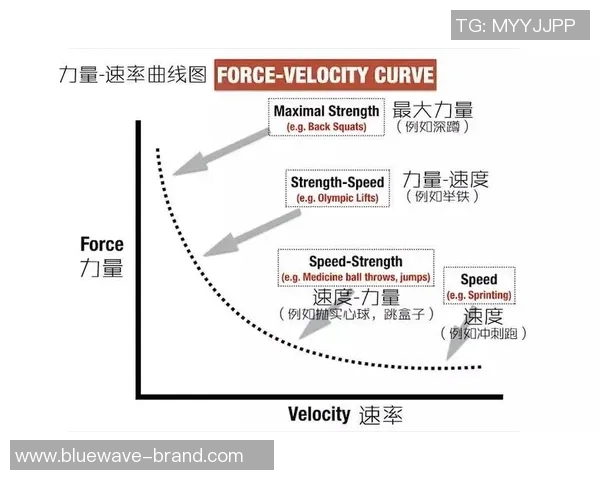 从零基础到足球高手:全面解析足球力量训练与技巧提升之道 从零基础到足球高手:全面解析足球力量训练与技巧提升之道