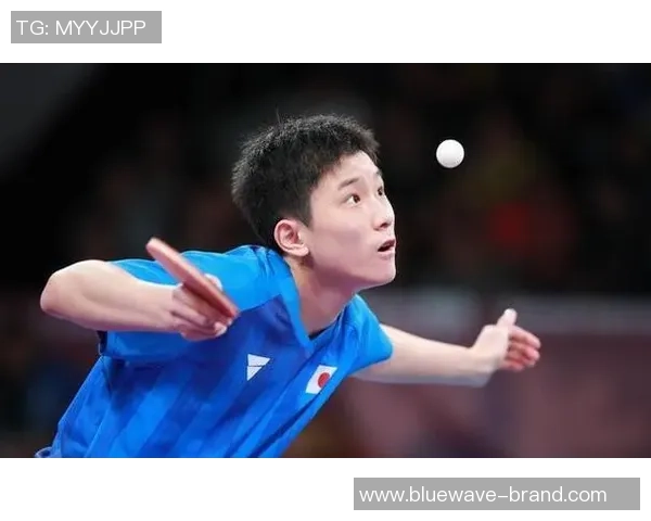 深入探讨上海乒乓球队速度表现的数据分析与提升策略